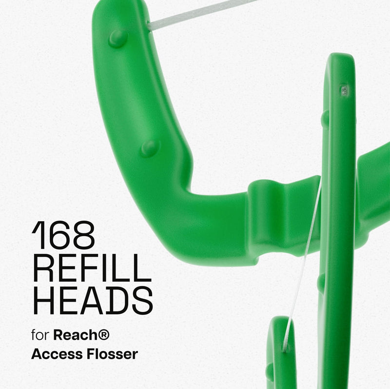 REACH Ultraclean Access Flosser Refill Heads, Mint, Plaque Remover for Teeth, Shred Resistant, for Hard to Reach Areas, Oral Care, PFAS Free, for Adults & Kids, 6 Pack, 28 Count 28 Count (Pack of 6) - BeesActive Australia