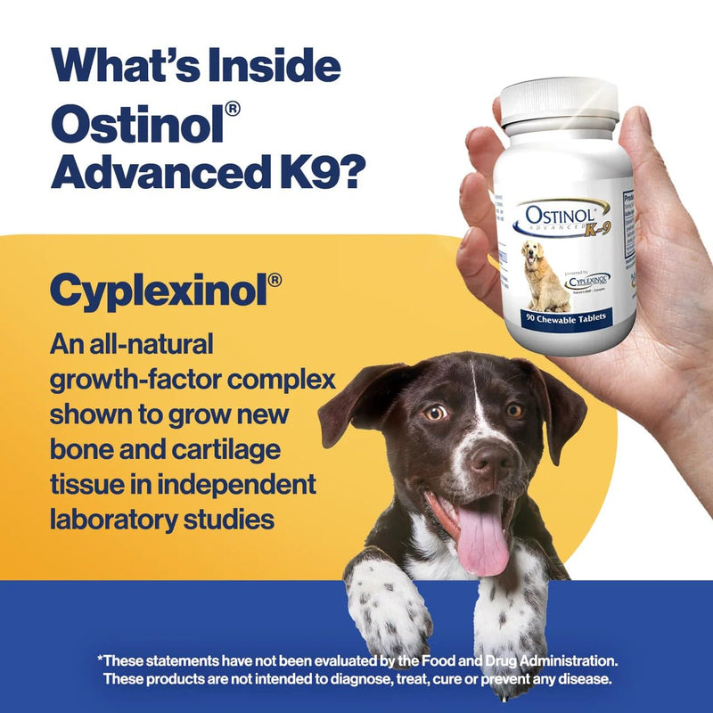 ZyCal Ostinol Advanced K-9 Joint Supplement for Dogs – Bioactive Protein Complex with Cyplexinol® Pro 50mg | Bone & Joint Dog Supplement | 90 Chewable Bone-Shaped Tablets