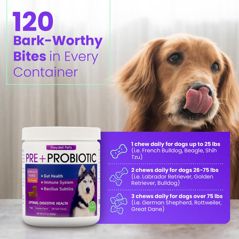 Freydell Pets Dog Probiotics + Hip & Joint Support Bundle – Pre + Probiotics for Digestive & Gut Health with Glucosamine Joint Support Soft Chews – Mobility, Cartilage, Immune Support & Overall Dog We