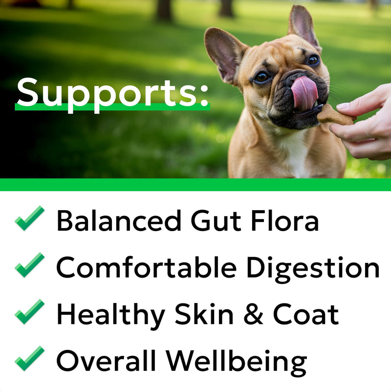 BARK&SPARK Advanced Dog Probiotics for Gut Health - Pre, Post & Probiotic Treats - Dogs Digestive Health Sensitive Tums Support - All Breeds & Ages - Probiotics for Dogs (180 Ct) 180Ct Probiotic Treats