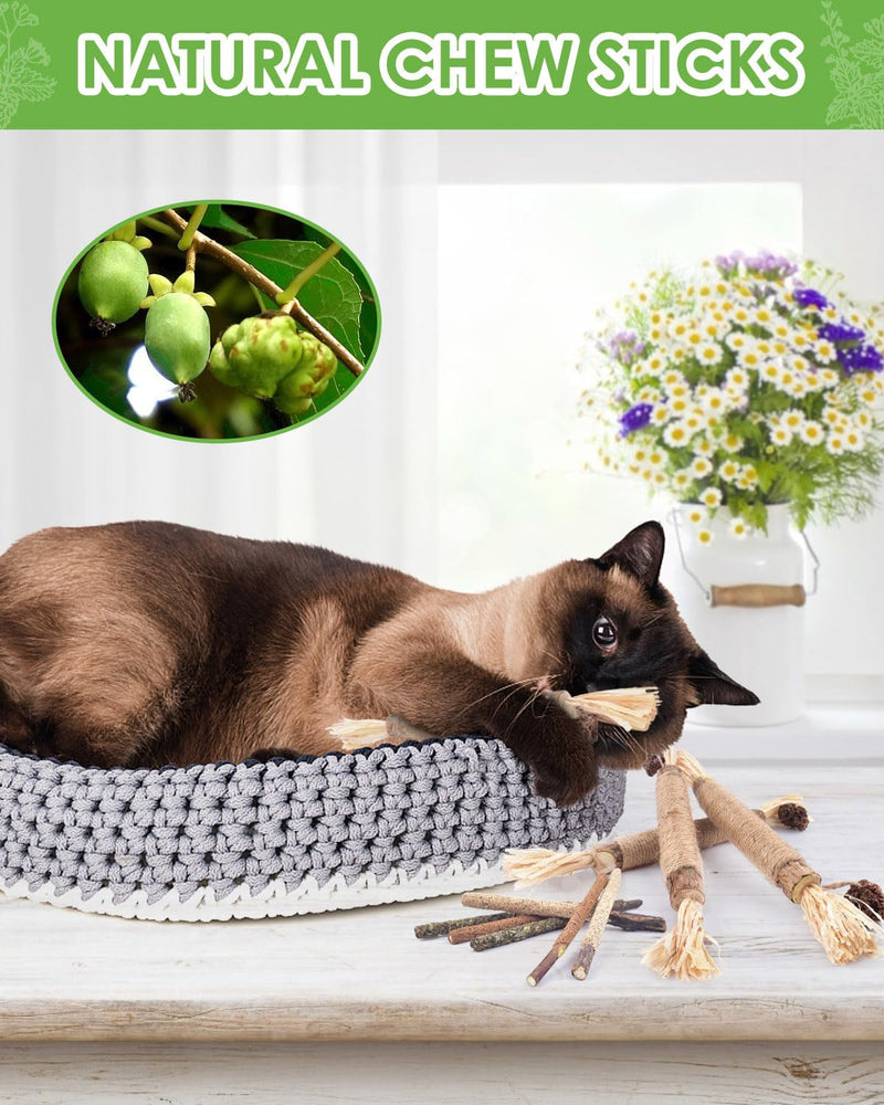 TINDTOP Silvervine Sticks, 10 Pack Natural Catnip Chew Toys for Kittens Teeth Cleaning, Increase Appetite, Calm Anxiety and Stress, Aggressive Chewers Toy - BeesActive Australia