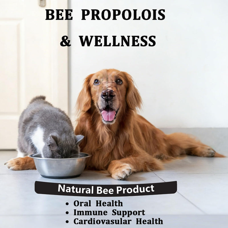 Bee Propolis for Dogs & Cats, Daily Immune System Support, Oral Care, Gum Health Supplement, 90 Soft Gels