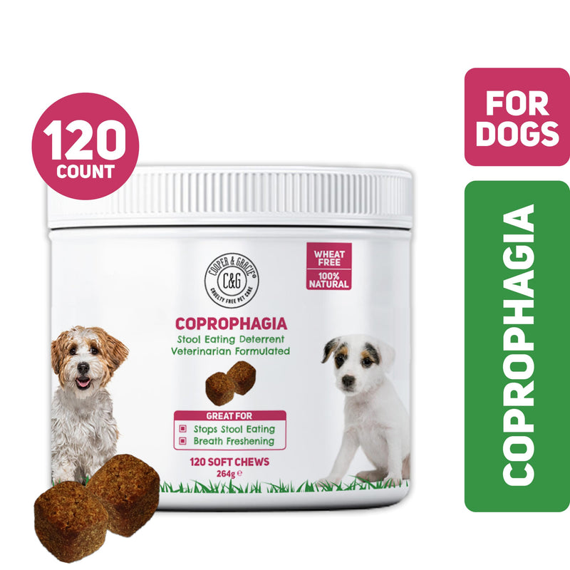 C&G Pets Natural Coprophagia Deterrent Soft Chews | Stool Eating Deterrent | Stool Tastes Foul | Help Neutralize Urine | Reduces Bad Breath | Veterinarian Formulated… (120 Chews) 120 Chews