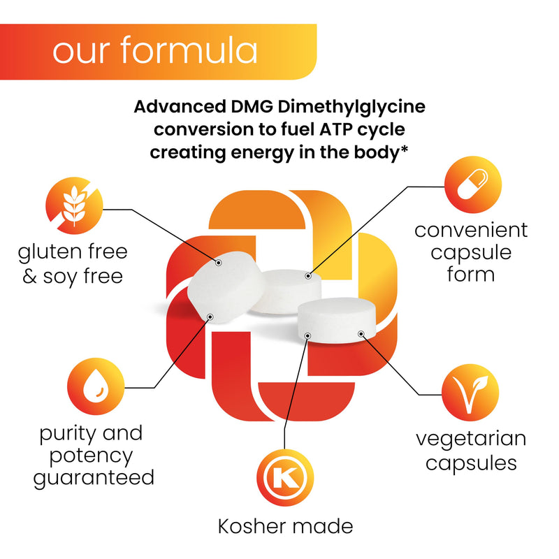 DMG Dimethylglycine 500mg Nootropic Supplement - Supports Vitality, Boosts Immune Functions, Brain Support Supplement | Promotes Neurological Functions and Aids in Athletic Recovery - 60 Servings - BeesActive Australia