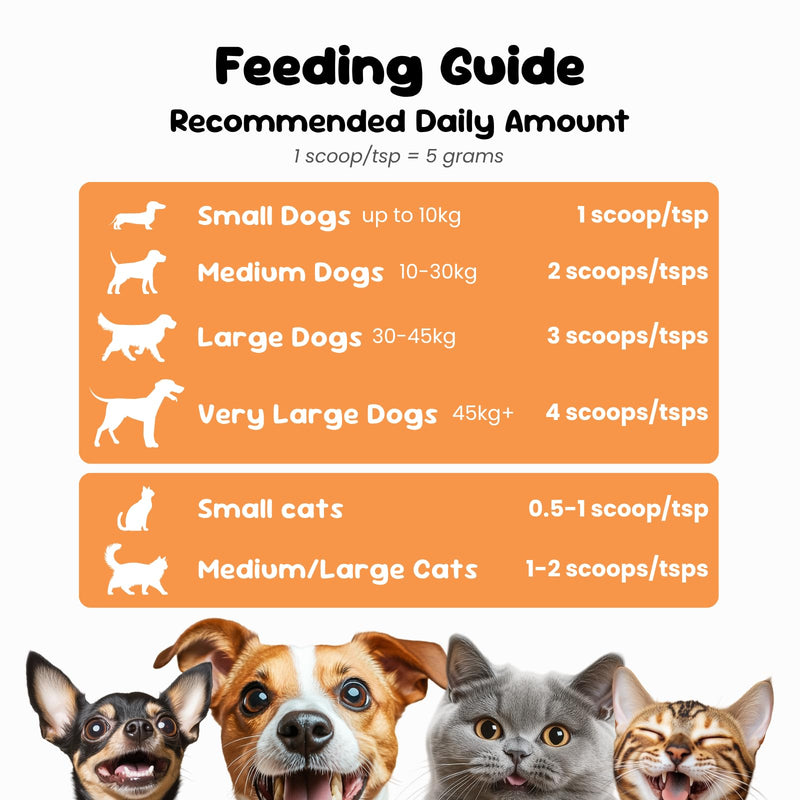 100% Natural Pumpkin Powder for Dogs - High Fibre Food Topper for Digestive Support, Stool Consistency & Healthy Guts, Sprinkle or Mix, Made in UK - 100 g 100 gm