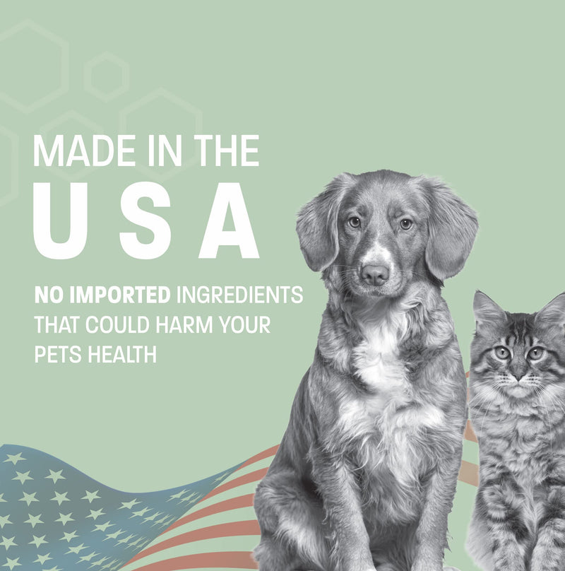 Dog Breath Water Additive - Cat & Dog Water Additive for Dental Care - Dog Dental Water Additive for Dogs Teeth and Bad Breath Treatment for Dogs and Cats - Odorless & Tasteless - 8 oz - PawsPlanet Australia