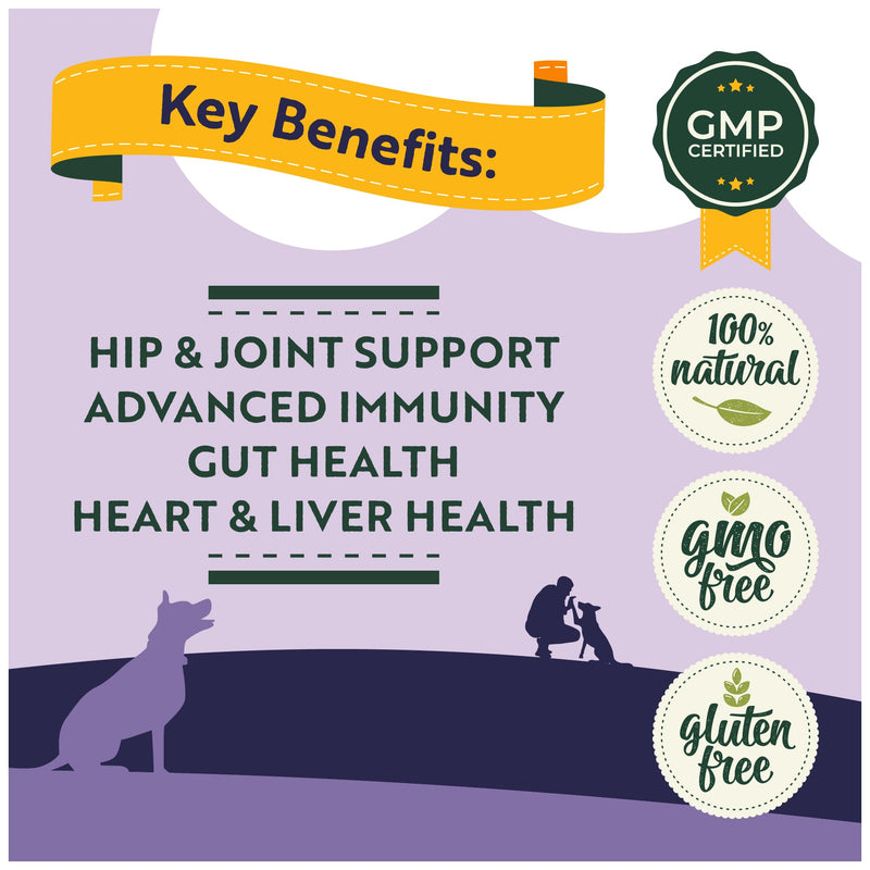 Healthy Paws 8-in-1 Dog Multivitamin Treats – Daily Supplement for Brain, Heart, Joints, Skin, Coat, Immunity, Digestion & Energy – Suitable for Small, Medium & Large Dogs