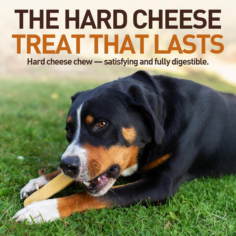 Wildfang® Yak Chews, Medium for Dogs 33-55 lbs – Dog Dental Chew Stick, Hardness Like Himalayan Yak Cheese, Churpi-Style Cheese Sticks, Dog Treats & Puppy Training Treats, Approx 3 oz, Pack of 6 3 Ounce (Pack of 6)