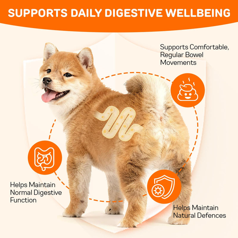 Pumpkin Powder for Dogs & Cats 200g - Pumpkin Puree Powder | Dual Action Fibre + Enzymes | Gut Health & Healthy Stools Support