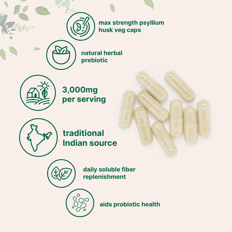 Micro Ingredients Psyllium Husk Capsules, 500 Veg Caps | Soluble Fiber Supplement for Women & Men | Natural Prebiotics & Probiotics Fiber Supplements for Gut & Digestive Health | Non-GMO, Gluten Free