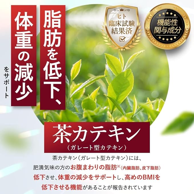 Meglea Premium Reduces leg swelling and coldness [Reduces fat around the stomach, Hihatsu Tea Catechin, Food with Function Claims] Minawa Hakko, 30 days supply/1 bag - BeesActive Australia