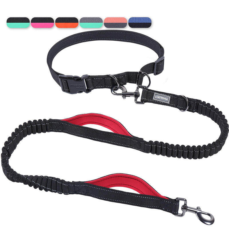 VIVAGLORY Hands Free Dog Leash Bungeetwin Running Dog Leash with Waist Belt for Running Walking & Jogging, Bungee & Around Waist for Pet, S, Black/Red Fits waist 25½"~44", Dual Bungee - BeesActive Australia
