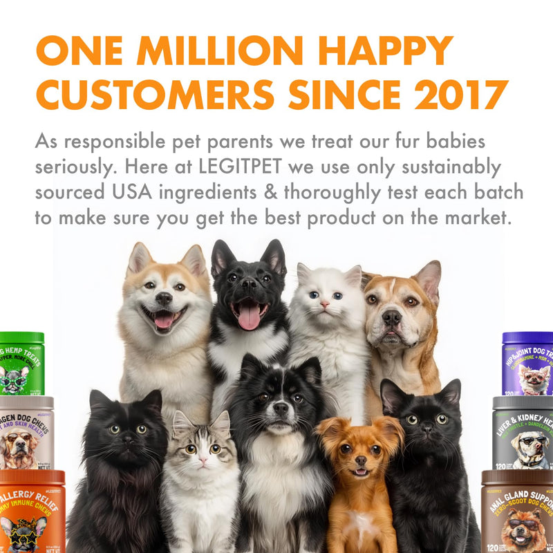 Hairball Treatment for Cats Natural Remedy with Apple Pomace, Psyllium Husk Omega 3 6 Fatty Acids Zinc Biotin Cat Supplement for Indoor Cats Promotes Healthy Digestion Furball Control 100 Yummy Chews Hairball 100