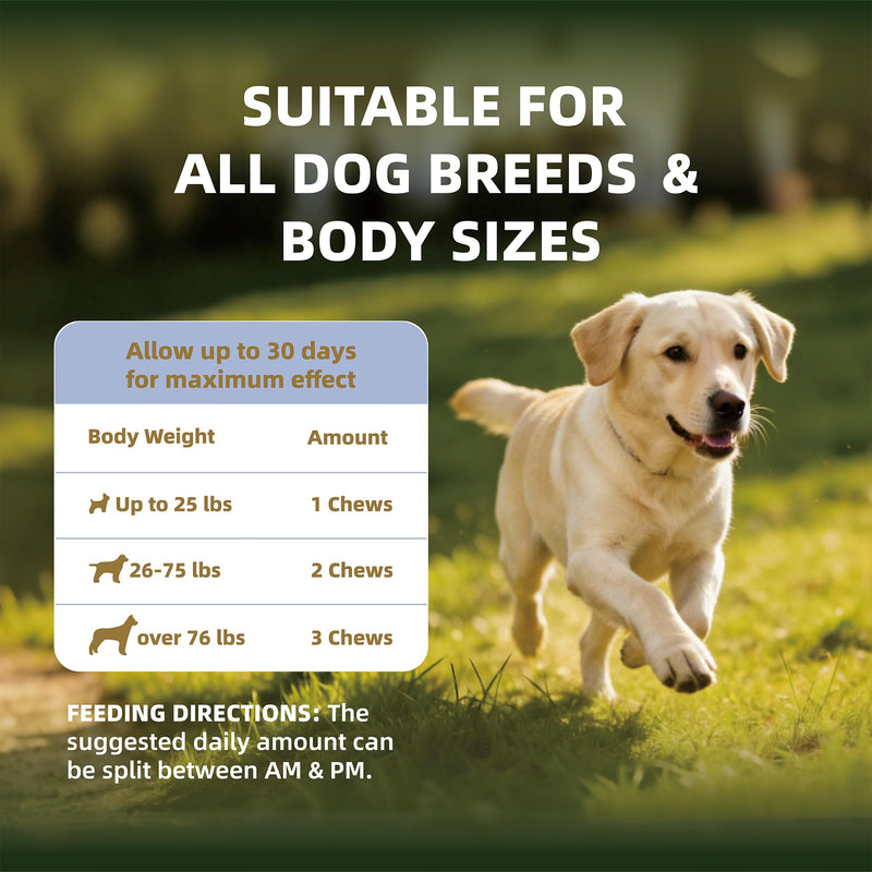 APL 8 in 1 Dog Multivitamins, Multivitamin Supplement with Probiotics DHA and EPA for Dogs, Supports Immunity Digestion Energy Skin and Coat Health, Beef Flavor Soft Chews, 300 Count
