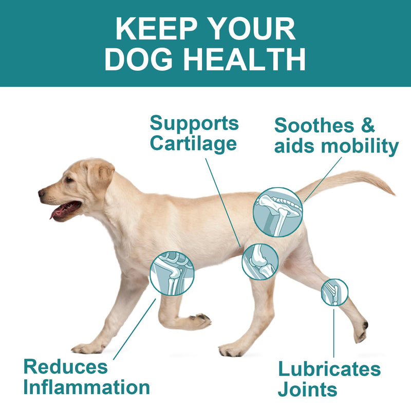 Joint Supplment for Dogs | Dog Joint Supplements for senior dogs to Reduce Stiffness, Improve Mobility with Hemp Seed Oil, Turmeric, Glucosamine, Chondroitin, Green Lipped Mussel For Dogs Beef