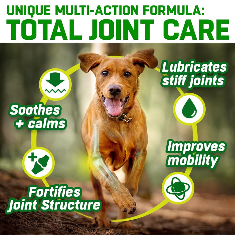 Dog Joint Care Supplements | 150 Chews | with Green Lipped Mussel, Glucosamine & Chondroitin, Hemp Oil, MSM, Hyaluronic Acid, Manganese and Vitamins for Dog Joint Care. Aids Stiff Joints. 1 Pot (150 Chews)