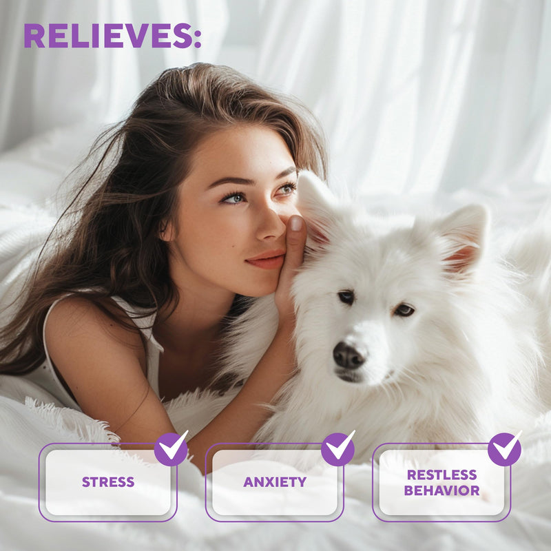 Calming Diffuser Kit for Dogs & Puppy - Pet Separation Anxiety Relief & Calm Pheromones Plug - Anti Stress Treatment Help with Fireworks, Aggression, Fighting & Other Problematic Behaviors - PawsPlanet Australia