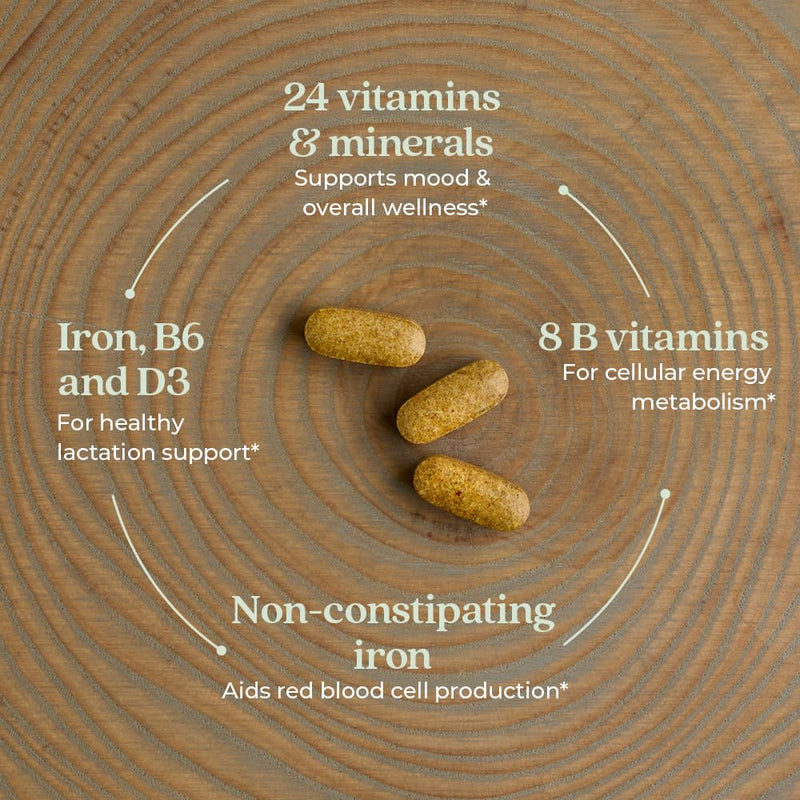 New Chapter Postnatal Vitamins Lactation Supplement, 192 Count | Complete Multivitamin with Fermented Vitamin D3 and B Vitamins, Made with Organic Vegetables and Herbs, Non-GMO 192 Count (Pack of 1)
