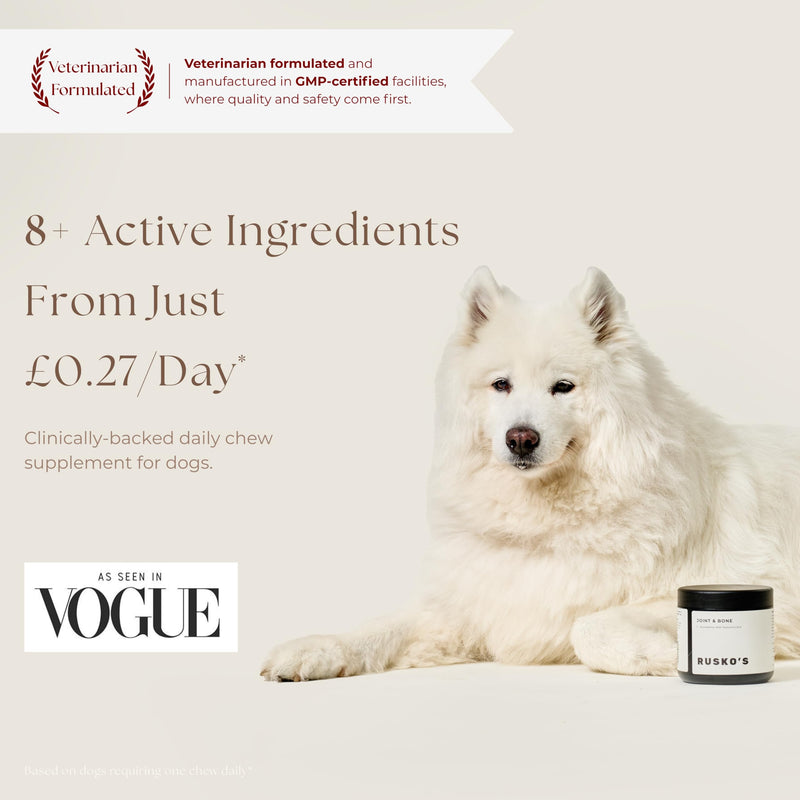 Rusko's Joint & Bone Supplement for Dogs | Supports Mobility, Flexibility & Healthy Joints | Glucosamine, MSM & Hyaluronic Acid | 120 Soft Chews