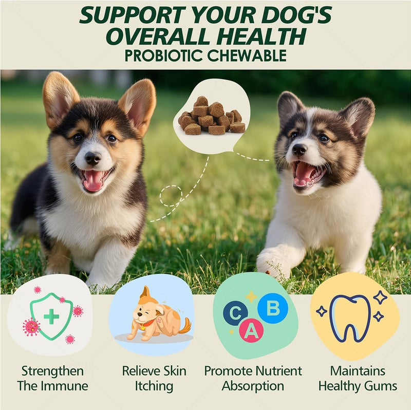 Probiotics for Dogs Gut Health, Digestion, Immunity, Relieve Diarrhea, Dog Probiotics Chews with Digestive Enzymes and Prebiotics, 200 Tablets (Chicken) Chicken