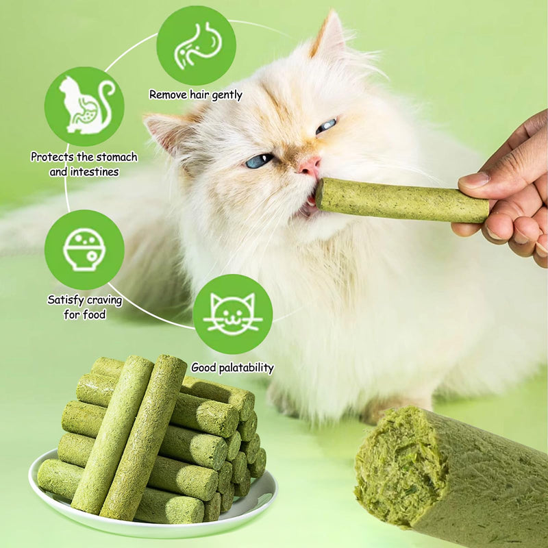 HavenJanny 50g Cat Grass Teething Stick, Freezed Drying Cat Grass Sticks Snacks for Cats, Edible Cat Treats for Teeth Cleaning and Hairball Removal - BeesActive Australia