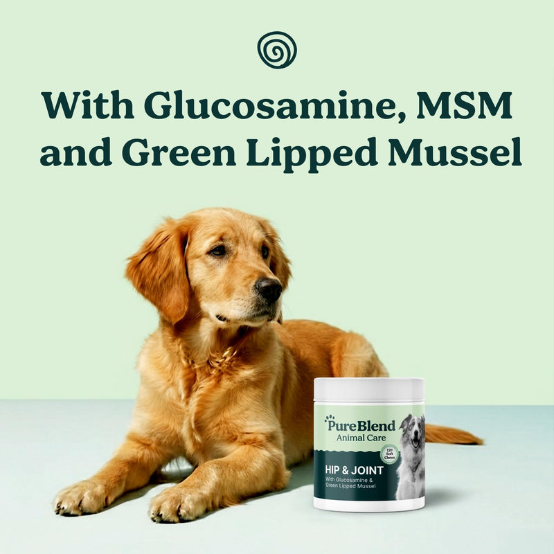 PureBlend Hip & Joint Soft Chews for Dogs — With Glucosamine, Chondroitin, Green Lipped Mussel & MSM — Joint Supplement for Dogs — 120 Chews, Up to 4 Month Supply