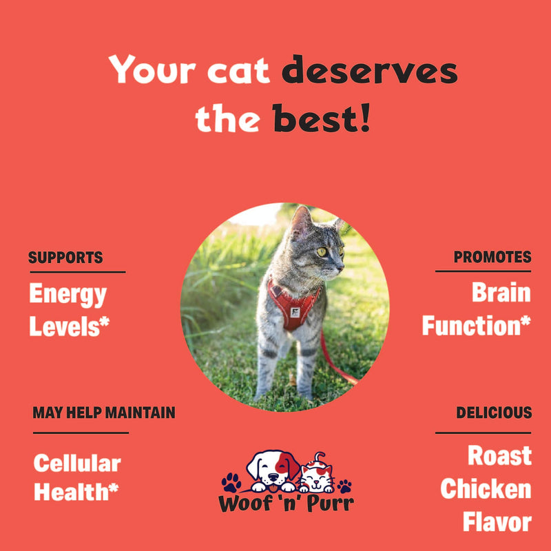 Vitamin B for Cats - B12 for Cats - Vitamin B12 for Cats - Cat Vitamins - Cat Vitamins and Supplements - Vitamins for Cats - Cat Appetite Stimulant - Appetite Stimulation for Cats - 1 fl oz