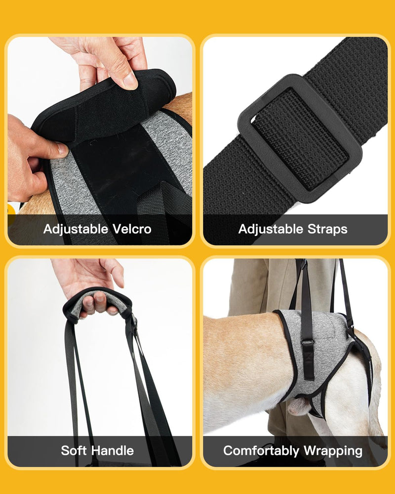 Dog Lift Harness Medium Sized Dogs, Sling for Medium Dogs Back Legs, Adjustable Soft Padded Dog Support Harness for Back Legs for Elderly, Injured, Arthritic, Disabled Dogs, M - BeesActive Australia