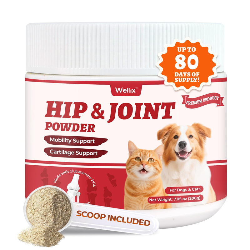 Wellix Large Hip & Joint Supplement for Dogs & Cats – Glucosamine Chondroitin MSM & Turmeric for Dogs – Dog Joint Health, Cat & Dog Arthritis Supplement, Chicken Chondroitin for Puppy & Kitten