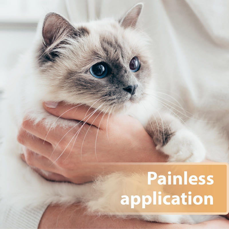 Felisept wound spray for cats 75ml - Cat antiseptic - Cat wound treatment, Wound spray for cats to clean wounds, skin and mucous membranes - Wound care for cats - Easy to use and painless for cats Wound Spray 75ml