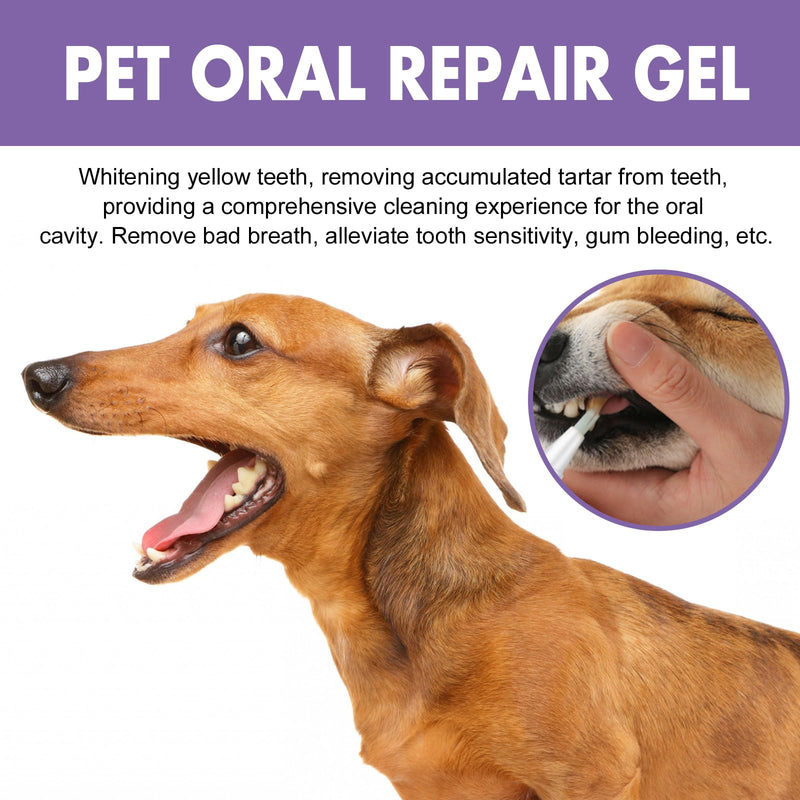 4 Piece Pet Oral Repair Gel Pen for Dogs, Pet Oral Restoration Whitening Gel Cleaning Pen for Pet Toothbrushes, Pet Dental Cleaning Pen for Oral Care of Pets