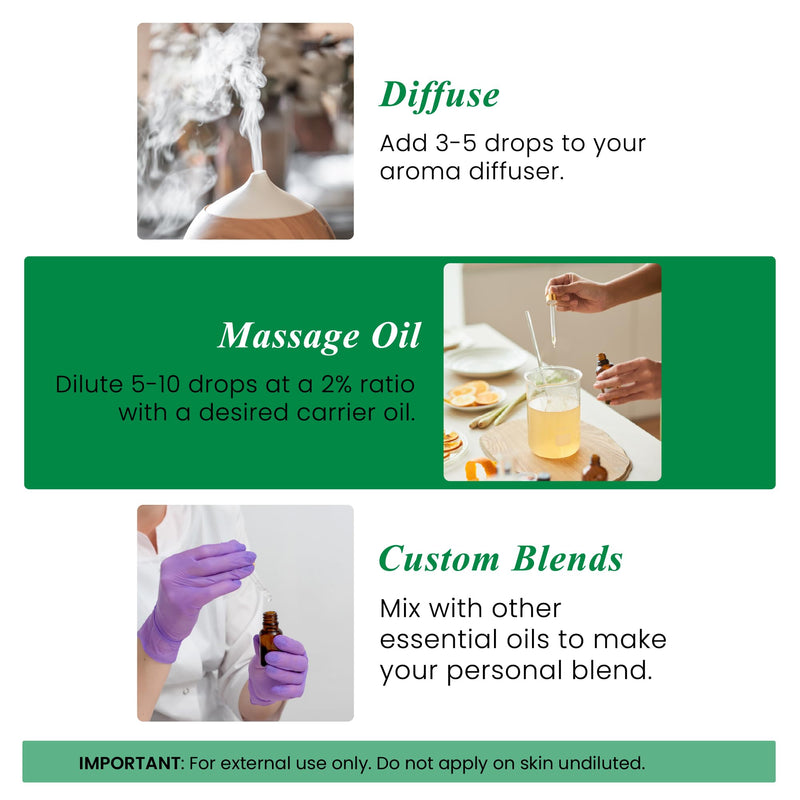 Handcraft Blends Organic Rosemary Essential Oil ‚Äì 1 Fl Oz ‚Äì 100% Pure and Natural ‚Äì Premium Grade Essential Oil for Diffuser and Aromatherapy 1 Fl Oz (Pack of 1)