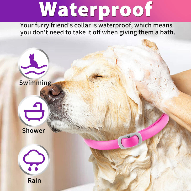 Tick Collar for Dogs Pack of 4, Flea Collar for Dogs, Adjustable and Waterproof, Safe and Natural, 60 cm Length, 24 Months Protection, for Small, Medium and Large Dogs (Pink & Purple) - BeesActive Australia
