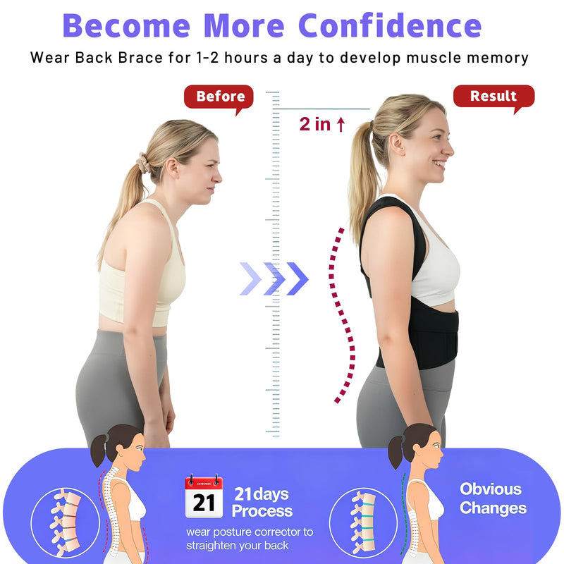 Back Brace Posture Corrector for Women and Men Vertical Alignment System, Lower Back Pain Relief, Back Straighter Instant Posture Corrector - Scoliosis （M） M-Back Brace - BeesActive Australia