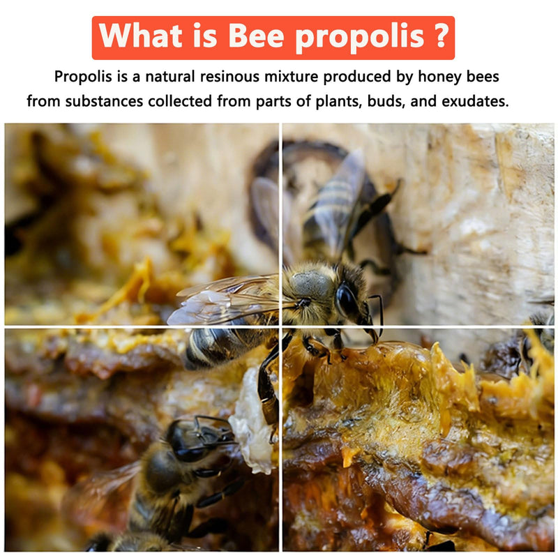 Bee Propolis Oral Spray for Dogs & Cats – 3.4 fl oz Gum Relief for Gingivitis, Reduce Plaque & Bad Breath, Post-Surgery Healing Support, Immune System Boost, Pet Dental Care