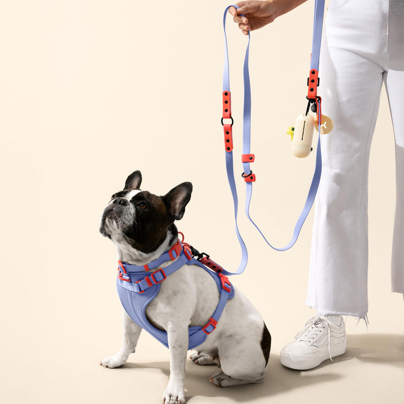 WLK1006E-5SET Luna Large 8FT Adjustable 6-in-1 Waterproof Hands-Free Leash and Collar with LED Flashlight, Bag Dispenser, and Poop Bag Holder, Sangria Periwinkle/Red Large (Up to 80 lbs) - BeesActive Australia