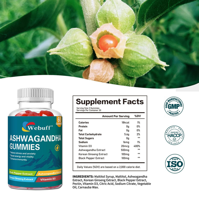 Ashwagandha Gummies with L-Theanine & Black Pepper Extract for Daily Stress Relief, Mood Support & Mental Clarity, Non-GMO, Gluten-Free, 60 Count per Bottle, Pack of 2, 120 Total Gummies 60 Count (Pack of 2)