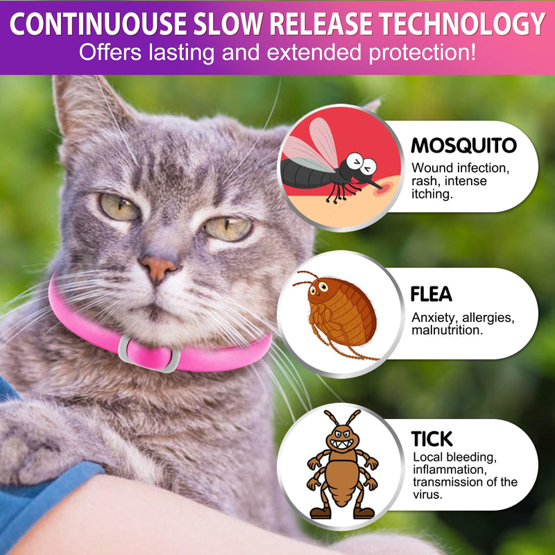 Tick flea collar for cats, 4 pieces against larvae and eggs - eliminates and kills - protects the animal and the habitat, effective protection for 24 months, adjustable and waterproof
