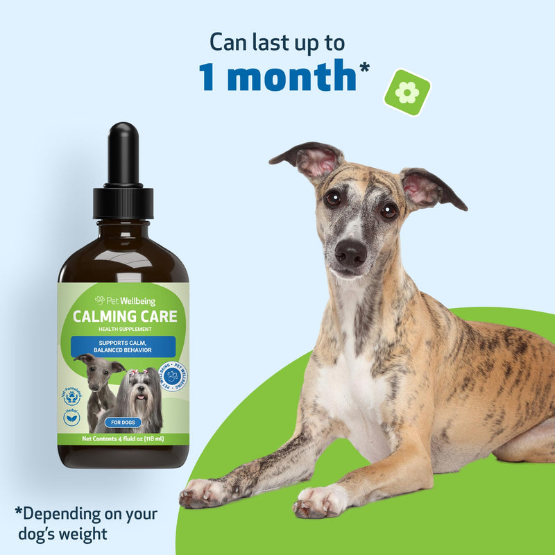 Pet Wellbeing Calming Care for Dogs - Veterinarian-Formulated - Calm Support, Relaxed Nervous System, Emotional Balance, Adaptogens - Herbal Supplement 4 oz (118 ml)