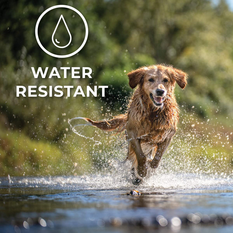 Hip + Joint Mobility Collar for Dogs with Glucosamine, Chondroitin, MSM, and More | Convenient & Easy | 30 Days of Continuous Support | Water Resistant (Med/Large) Medium/Large - PawsPlanet Australia