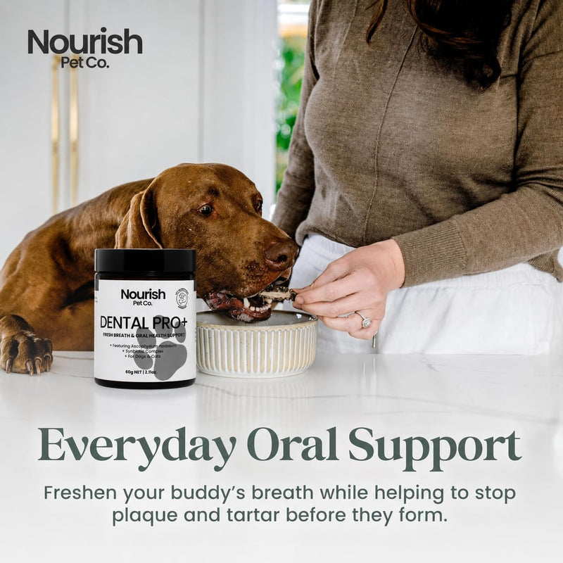 Nourish Pet Co. Dental Pro+ Pet Dental Powder, Cat & Dog Teeth Cleaning Powder, Breath Freshener, Fights Plaque and Tartar, Natural Ingredient Food Topper, 60 Servings