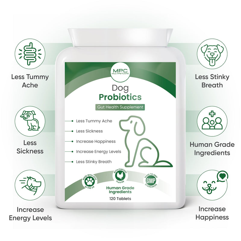 Probiotics for Dogs – 5-Strain 2 Billion CFU + Digestive Enzymes & Prebiotics | Gut Health, Firm Stools, Less Gas & Bloating | Full B-Complex Vitamins in One Tablet | Chicken Flavor | UK GMP | 120 Ct