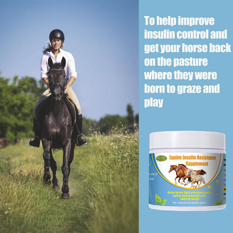Insulin Resistance Supplement for Horses,Supporting Horses with Elevated Insulin Levels,Laminitis,Cushing's Syndrome,Chronic Sore Feet,Back to Pasture,0.44 lbs - BeesActive Australia