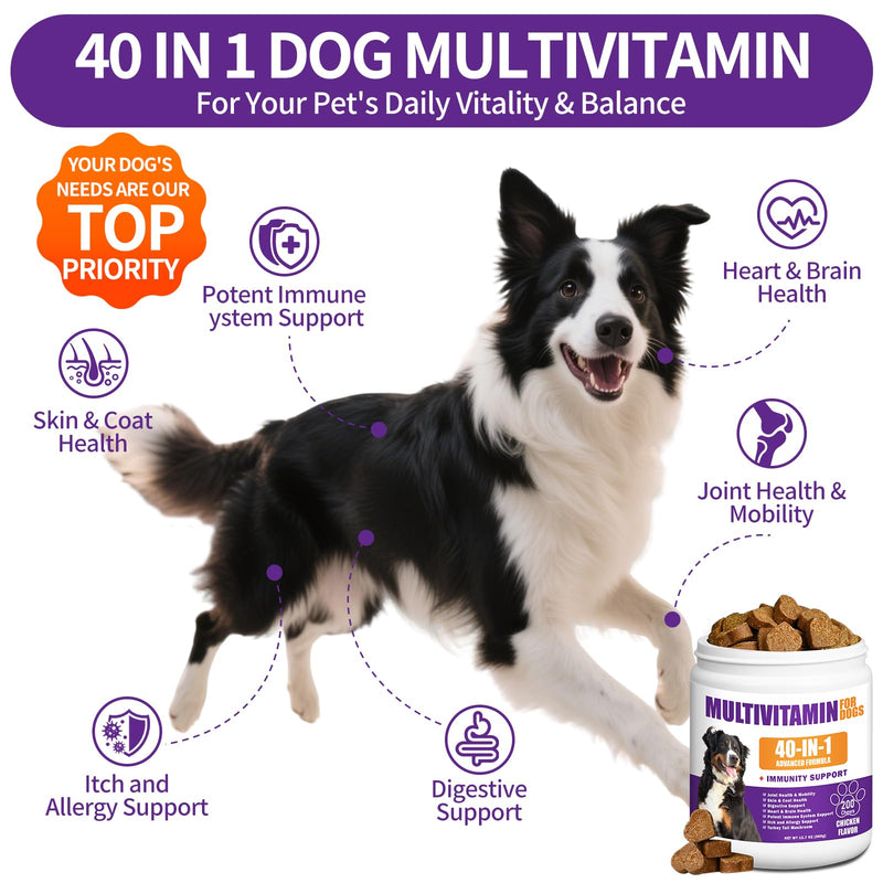 40-in-1 Dog Multivitamins Chewable, Dog Vitamins and Supplements 200 ct Contain Probiotics Omega-3 Glucosamine, Multivitamin for Dogs Skin Coat Heart Joint Liver Brain Eyes Immune Support 200 Count
