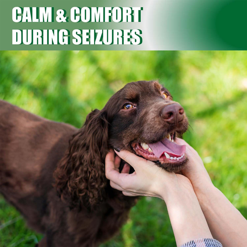 Seizure Support Liquid for Dogs & Cats 100 mL | Natural Epilepsy Supplement | Helps Reduce Frequency & Intensity of Seizures | Easy to Give with 3 ml Dropper