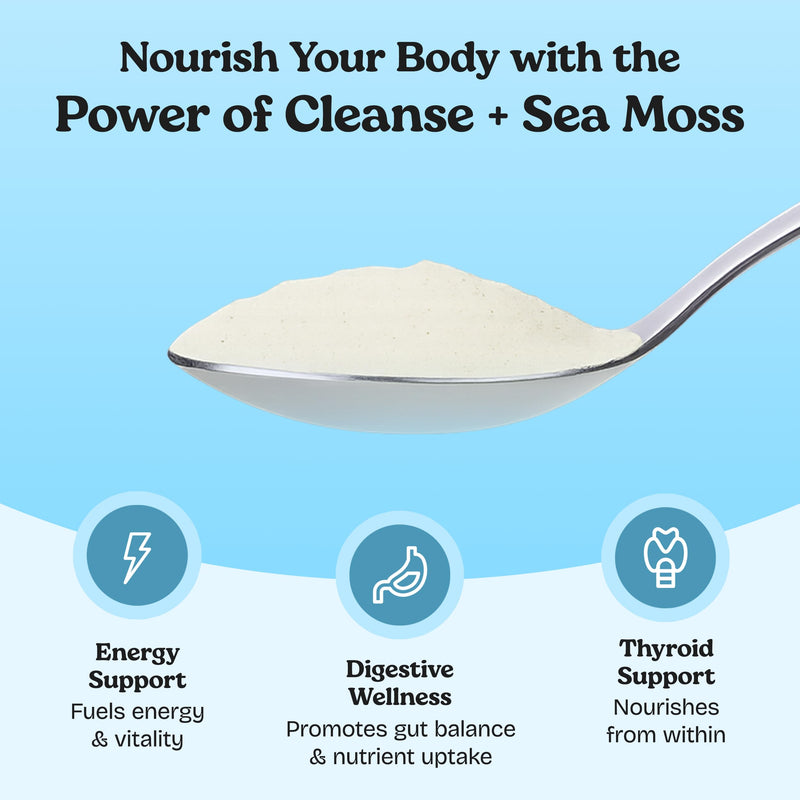 Atlantic Naturals Sea Moss Powder 15000mg | 7 Day Detox Cleanse for Women & Men | Supports Digestive & Colon Health Drink Mix with Psyllium Husk, Flaxseed & MSM | Pineapple Flavor (14 oz)
