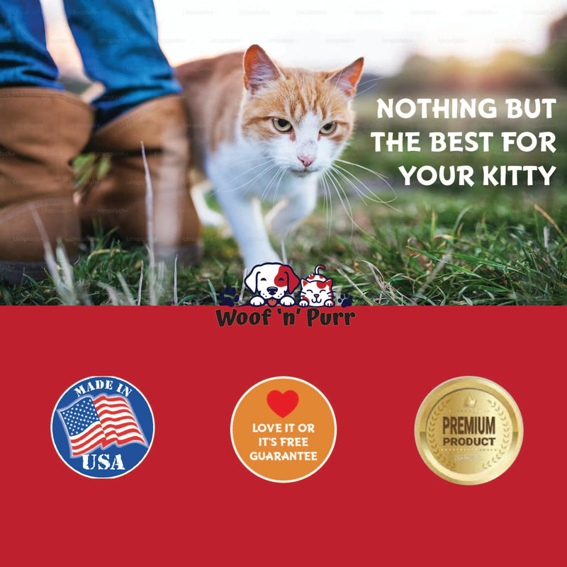 Vitamin B for Cats - B12 for Cats - Vitamin B12 for Cats - Cat Vitamins - Cat Vitamins and Supplements - Vitamins for Cats - Cat Appetite Stimulant - Appetite Stimulation for Cats - 1 fl oz
