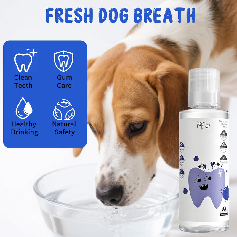 2 PCS PawBright Dental Plus,Natural Flavorless Teeth Cleaning Mouthwash to Fight Tartar,Promote Healthy Gums & Freshen Breath,Easy Daily Use for all Pet