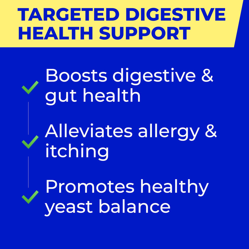 Vet Approved Probiotics & Digestive Enzymes for Dogs | Gut Health & Digestive Function Support | Pumpkin & Omega | Diarrhea, Seasonal Allergies & Itching | Prebiotic Supplement Chews Probiotics & Enzymes 120 Digestive Chews - BeesActive Australia