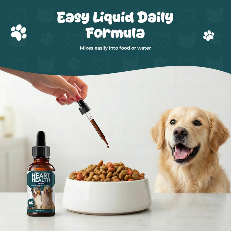 Young Heart Support for Dogs - Heart Health & Healthy Circulation Support - Cardiovascular Wellness Herbal Drops with Hawthorn, Ginkgo Biloba & Garlic - Dog Heart Supplement Liquid - 60 ml